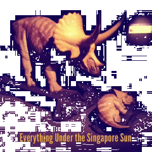 triceratops-gif